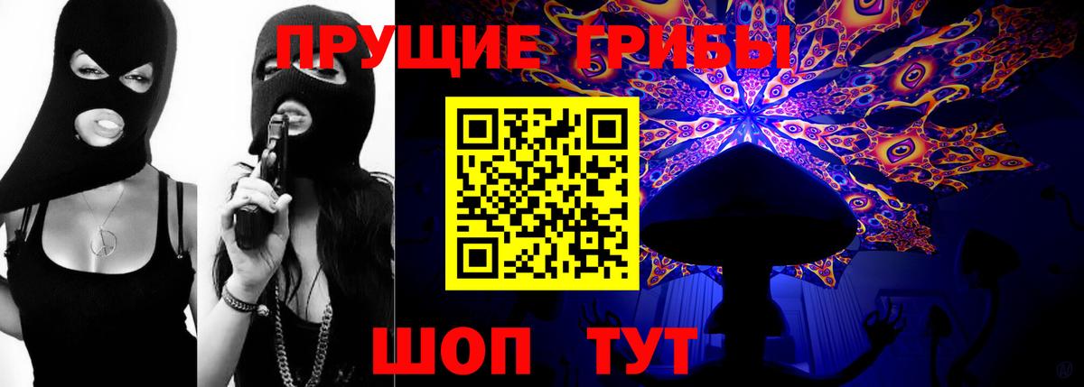 Унеча  Галлюциногенные грибы Psilocybe  Псилоцибиновые грибы MAGIC MUSHROOMS  Вход с VPN 